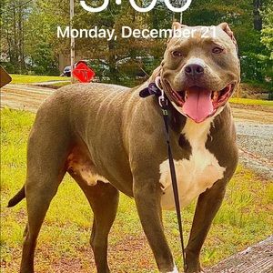 Meet your Posher, Christopher